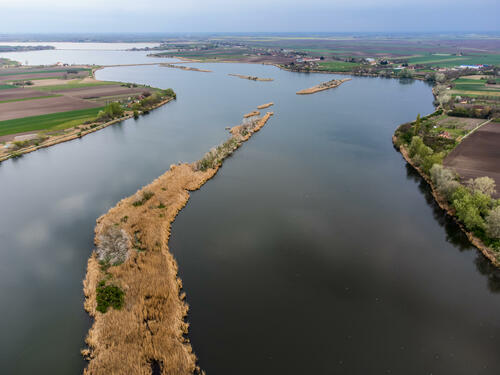 Palic islands